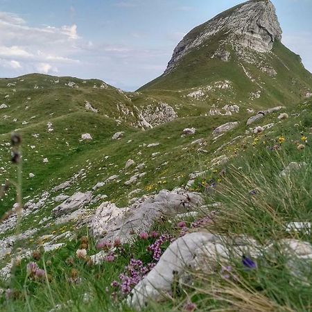 Apartments Durmitor Žabljak Εξωτερικό φωτογραφία