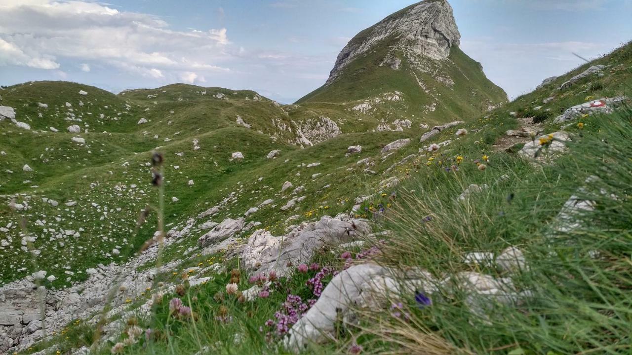 Apartments Durmitor Žabljak Εξωτερικό φωτογραφία