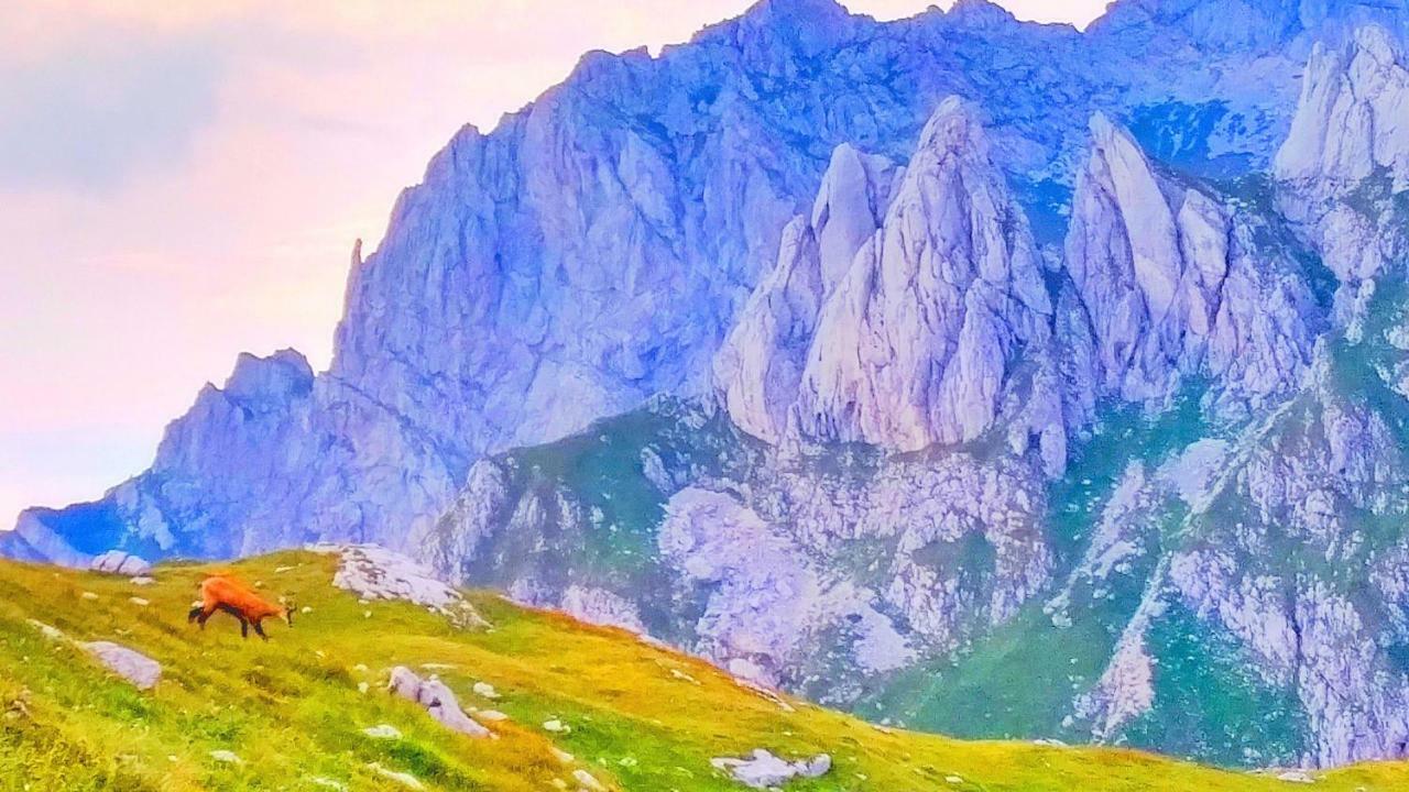 Apartments Durmitor Žabljak Εξωτερικό φωτογραφία