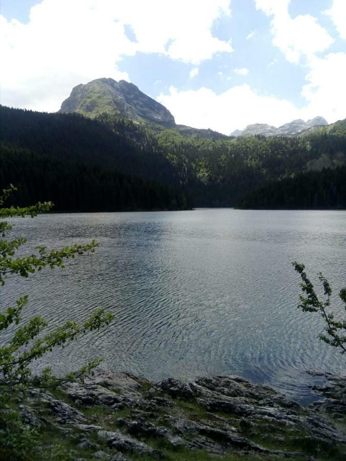 Apartments Durmitor Žabljak Εξωτερικό φωτογραφία